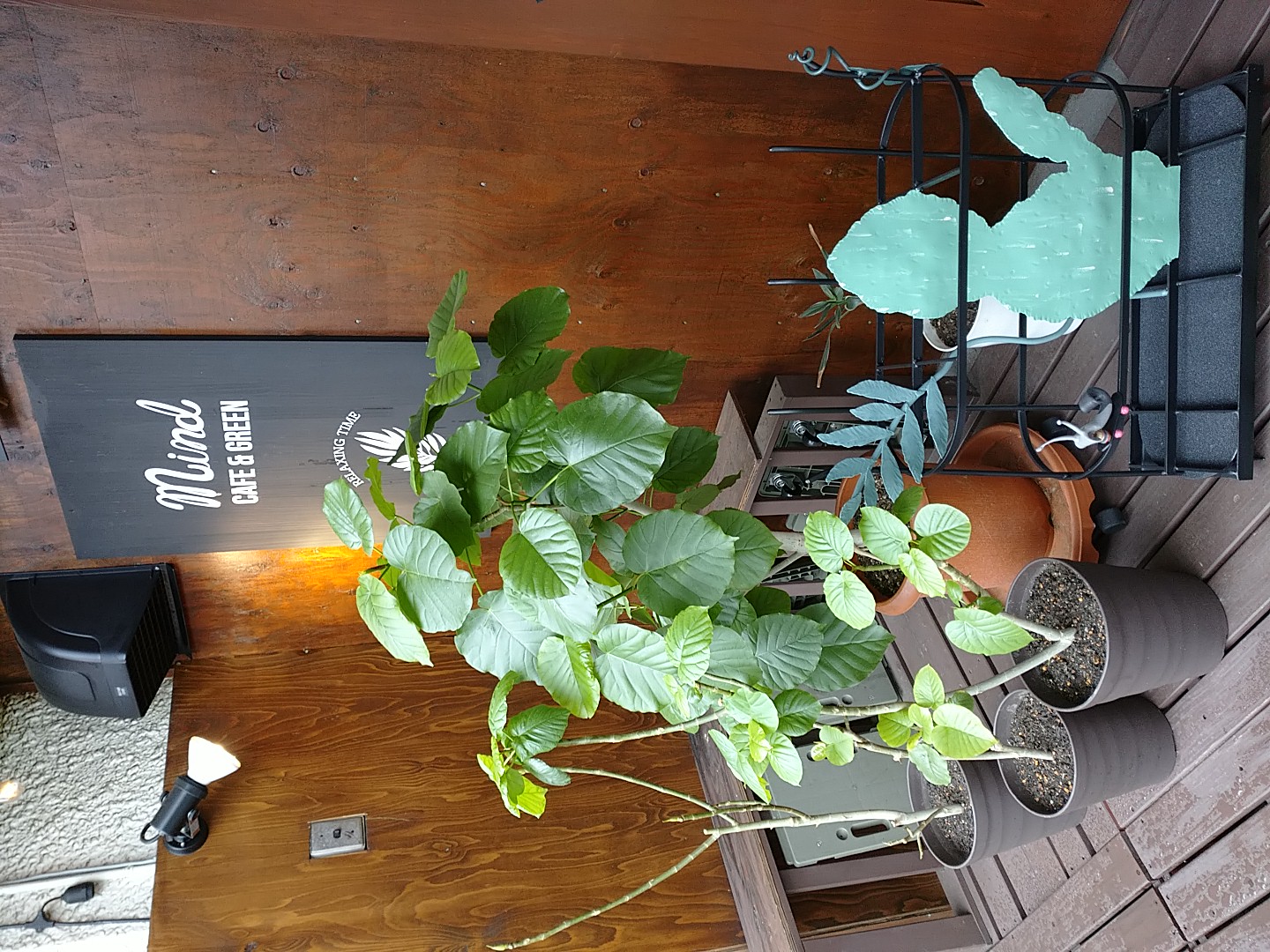 photo017