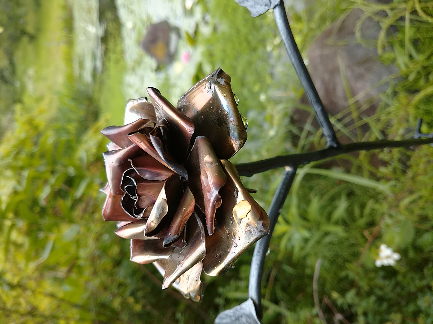 photo023
